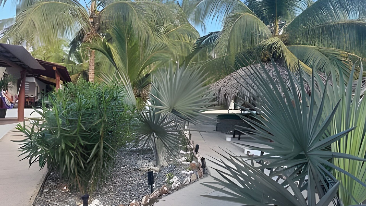 Photo of Outdoor in Saladita