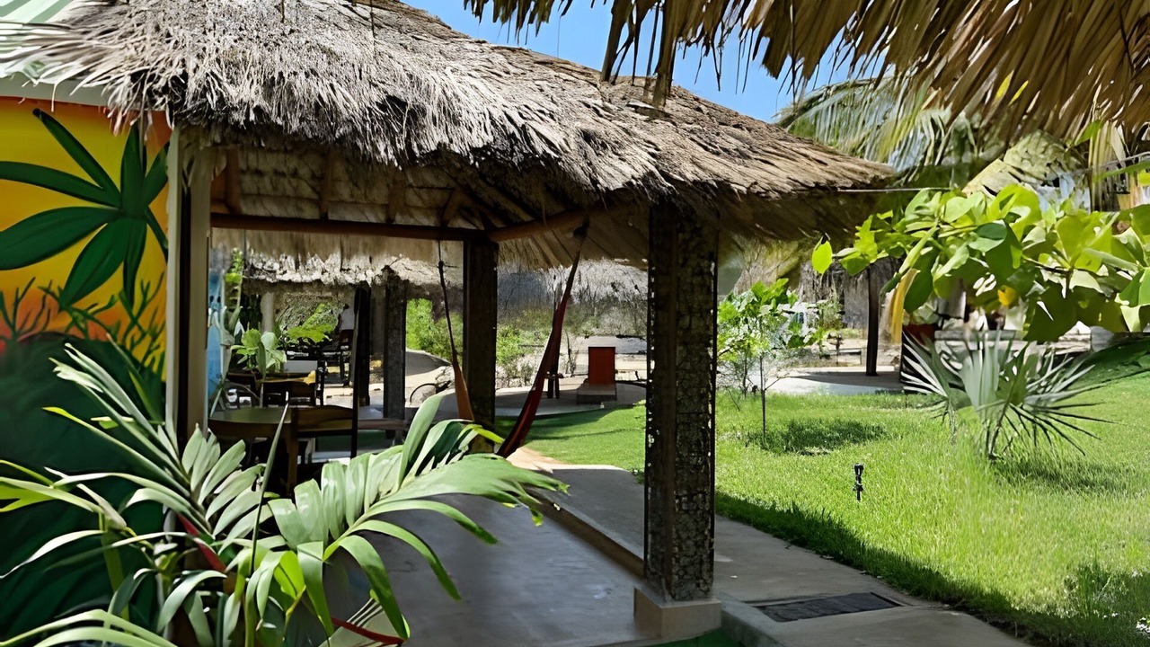 Photo of Outdoor in Saladita