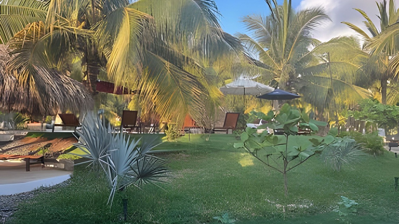 Photo of Outdoor in Saladita