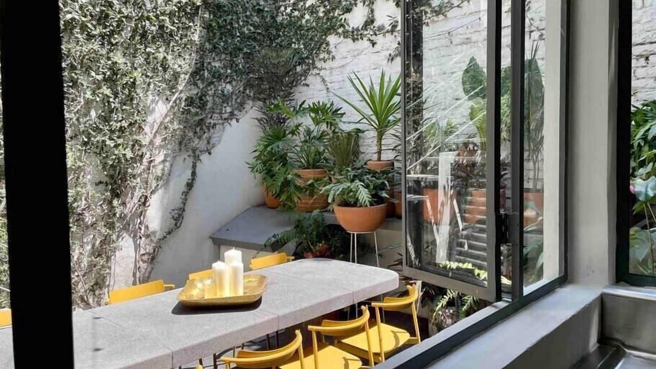 Photo of Others in La Condesa