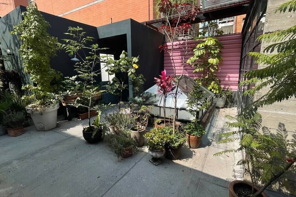 Photo of Outdoor in Escandon