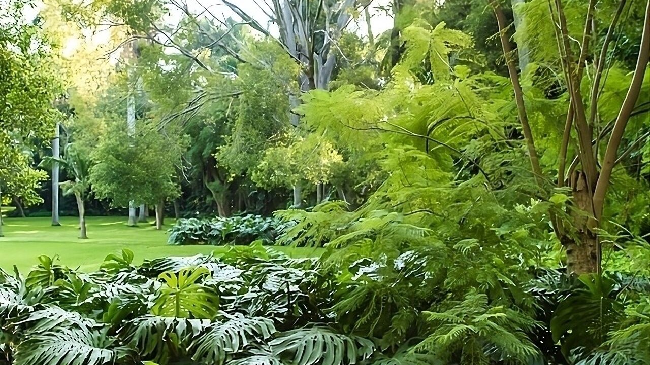 Photo of Outdoor in Yautepec