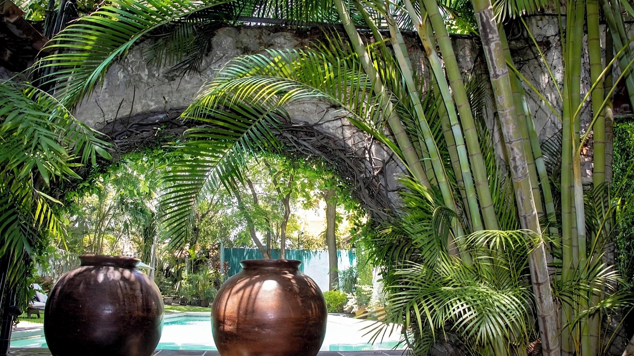 Photo of Outdoor in Yautepec