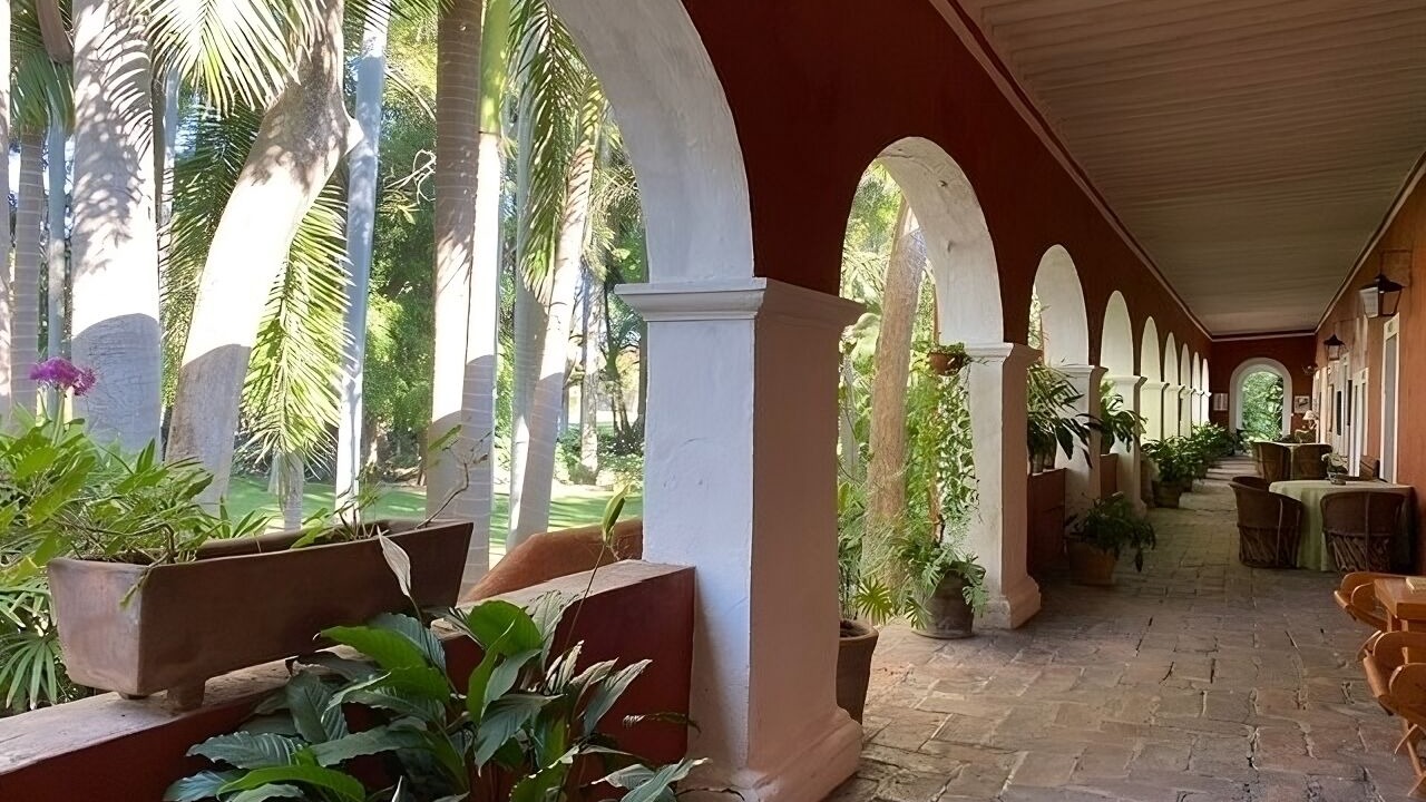Photo of Outdoor in Yautepec