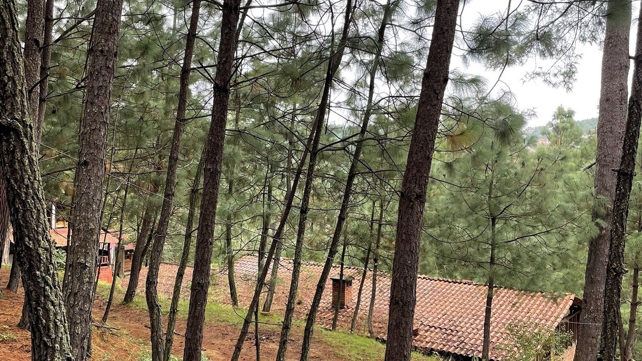 Photo of Outdoor in Mazamitla