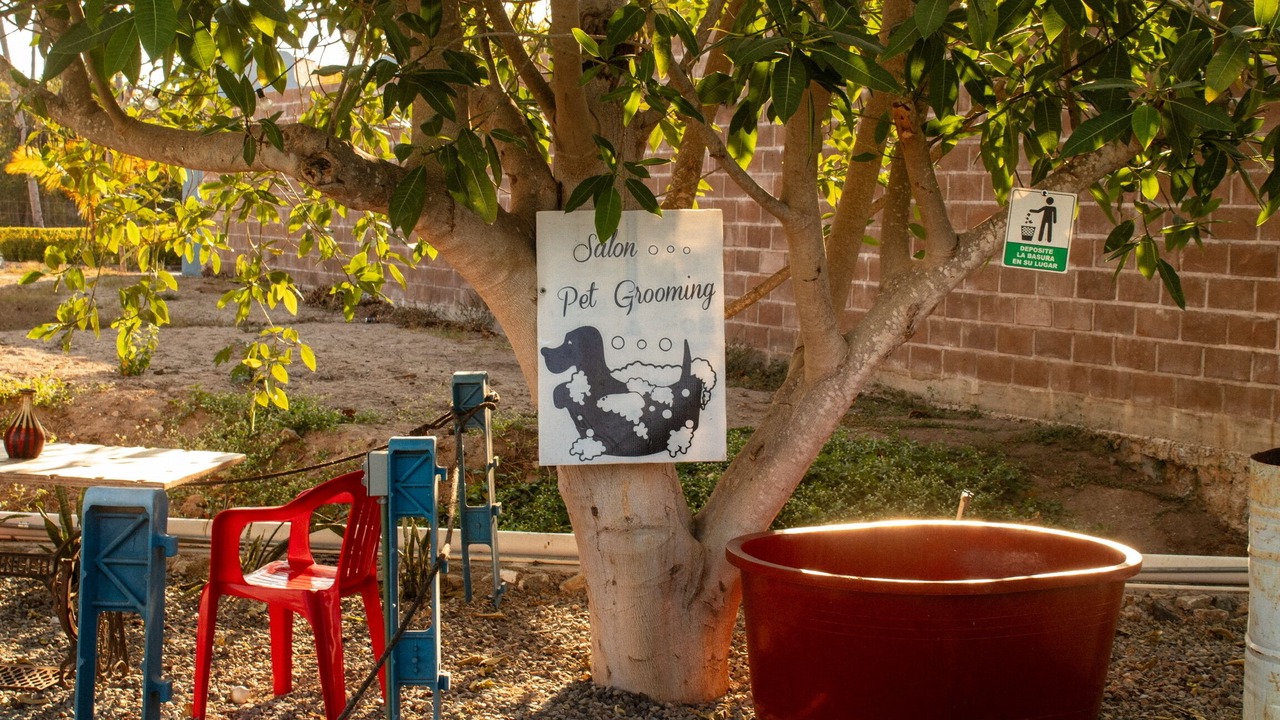 Photo of Outdoor in Barra de Navidad