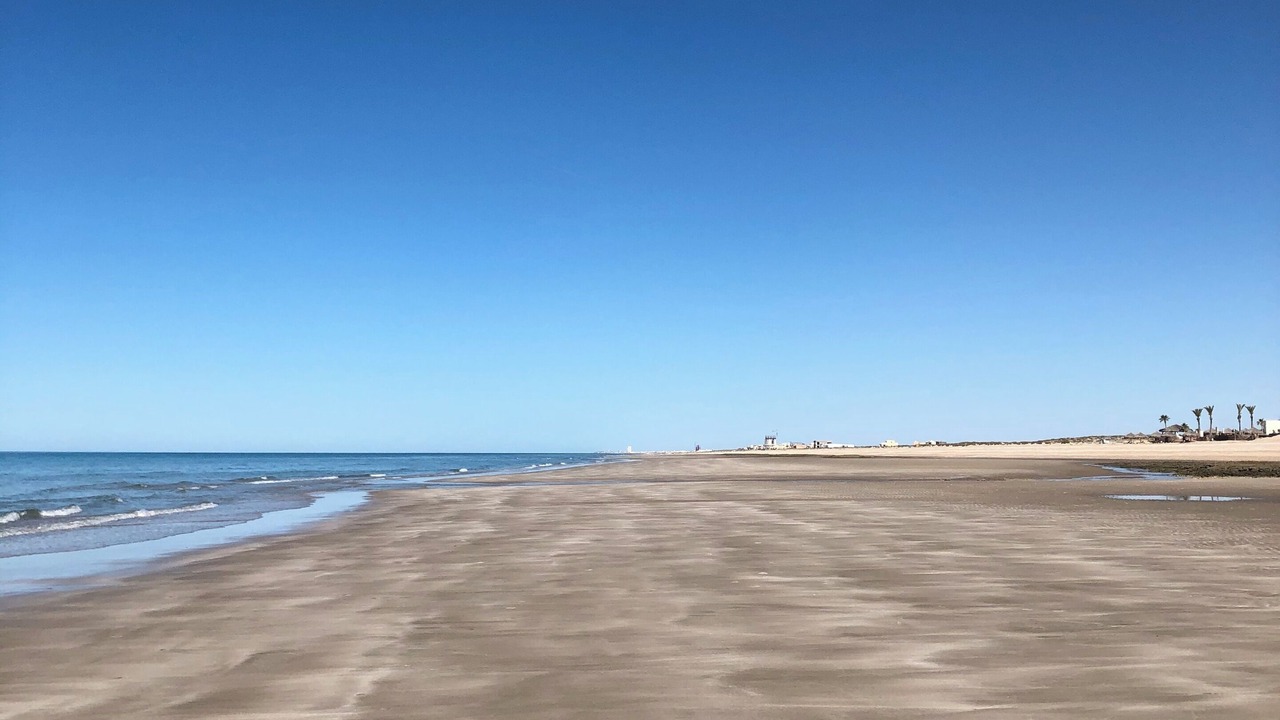 Photo of Others in Puerto Penasco