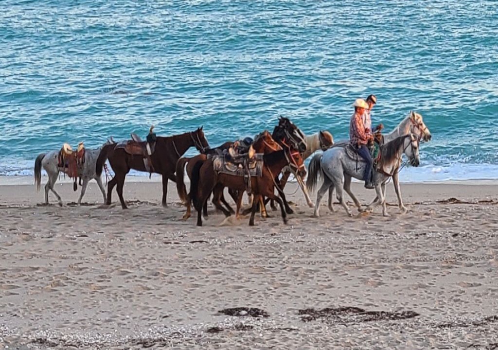 Photo of Others in Puerto Penasco