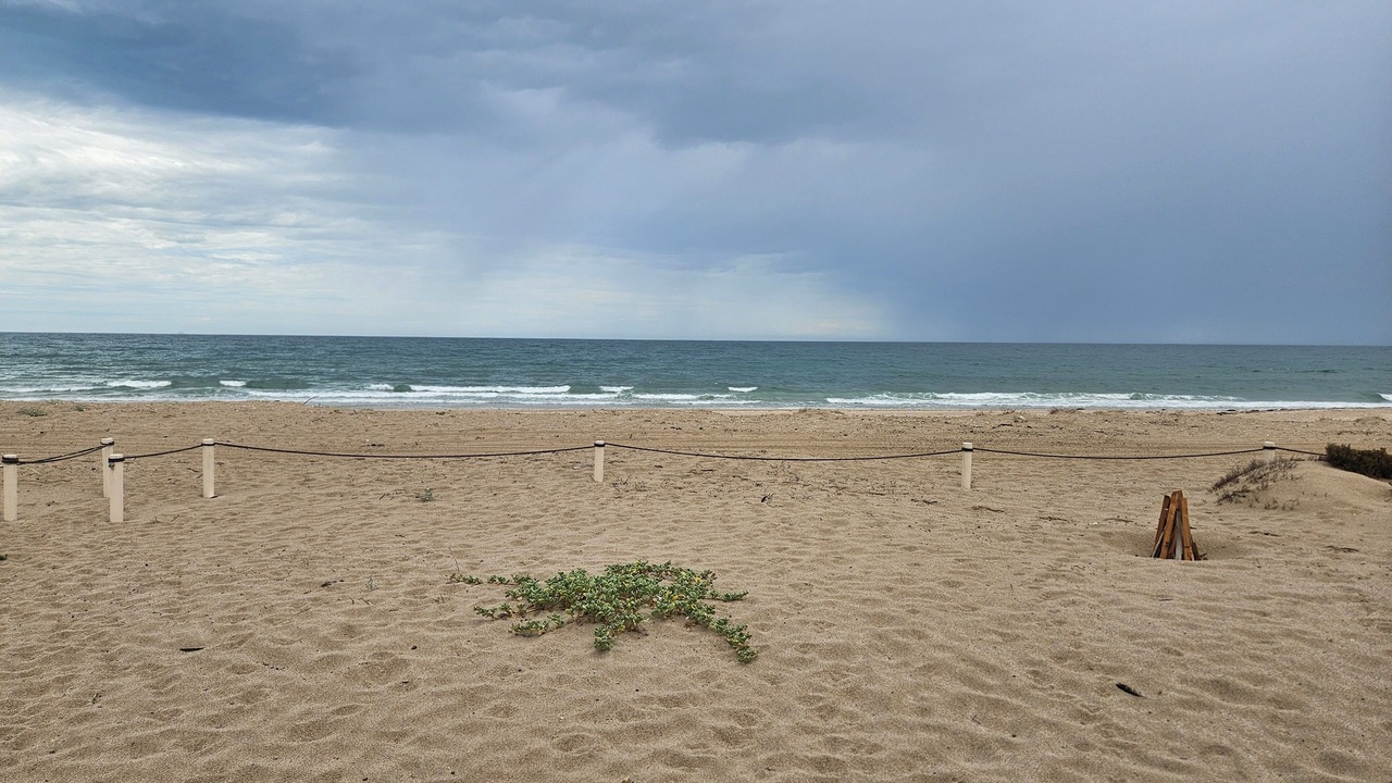 Photo of Others in Puerto Penasco