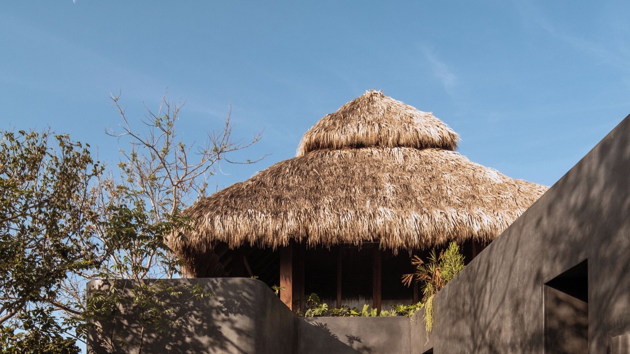 Photo of Outdoor in Troncones