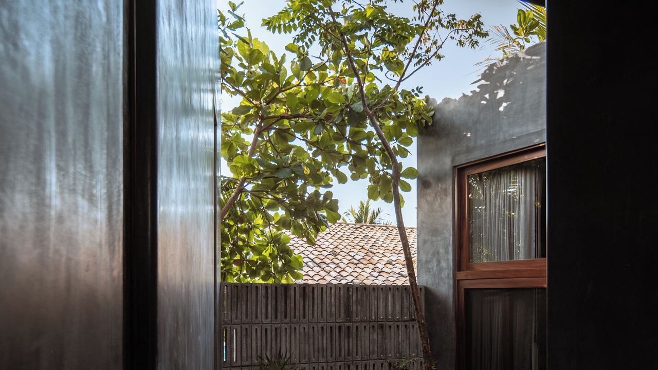 Photo of Outdoor in Troncones