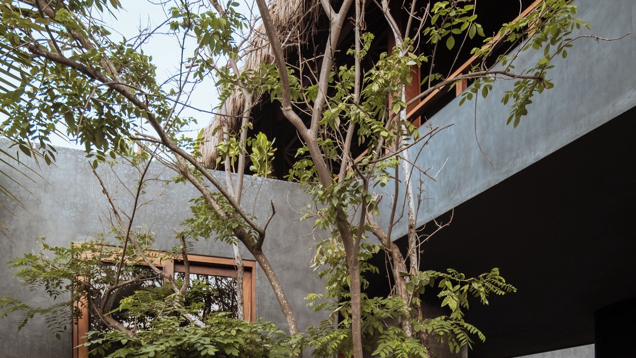 Photo of Outdoor in Troncones