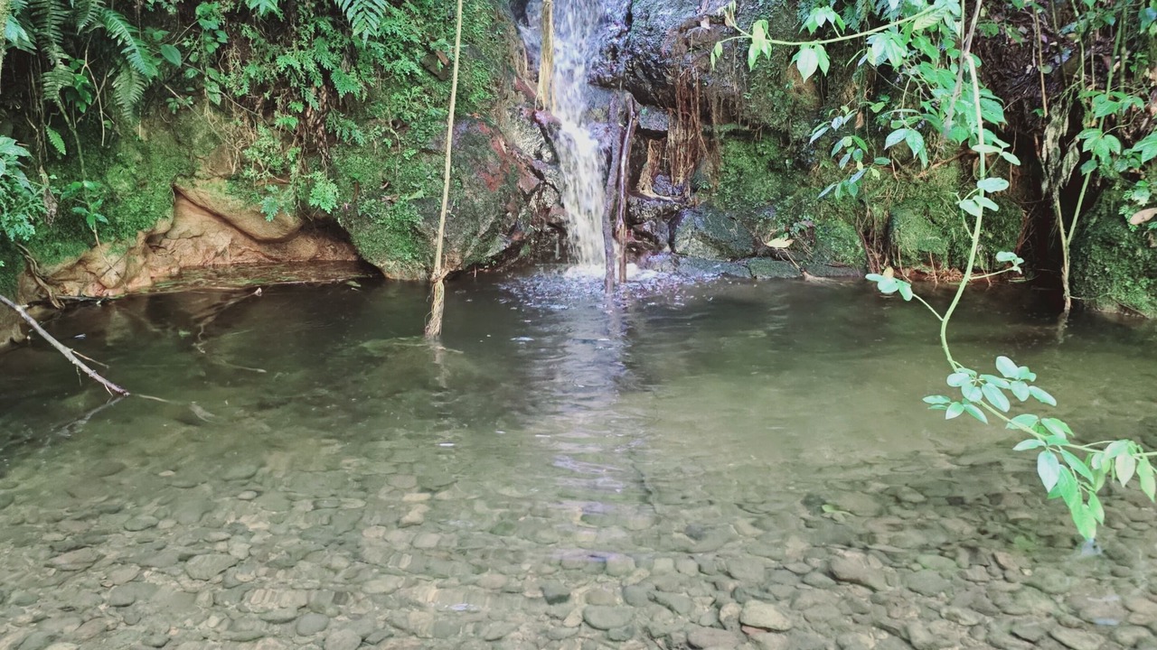 Photo of Outdoor in Xico