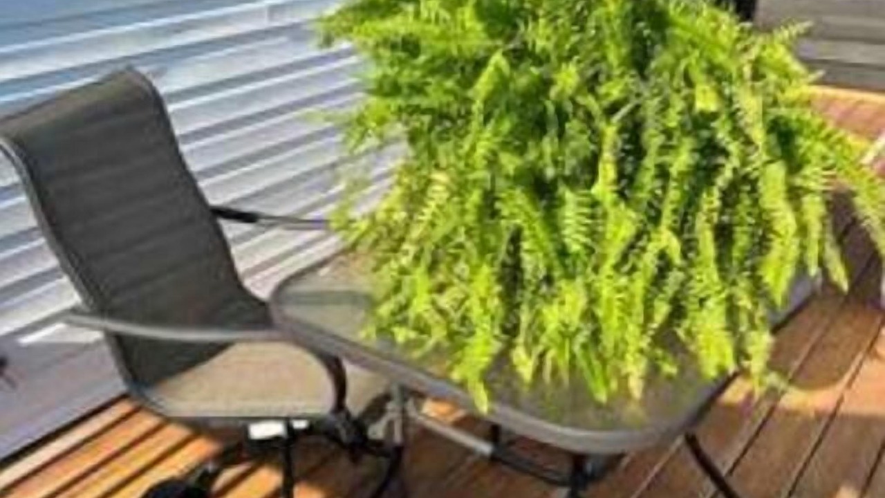 Photo of Patio Balcony in Radcliff