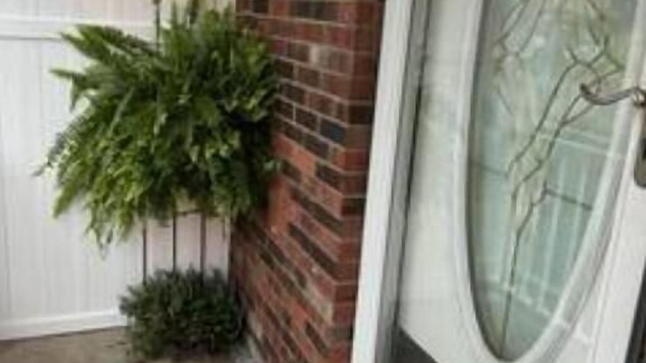 Photo of Outdoor in Radcliff