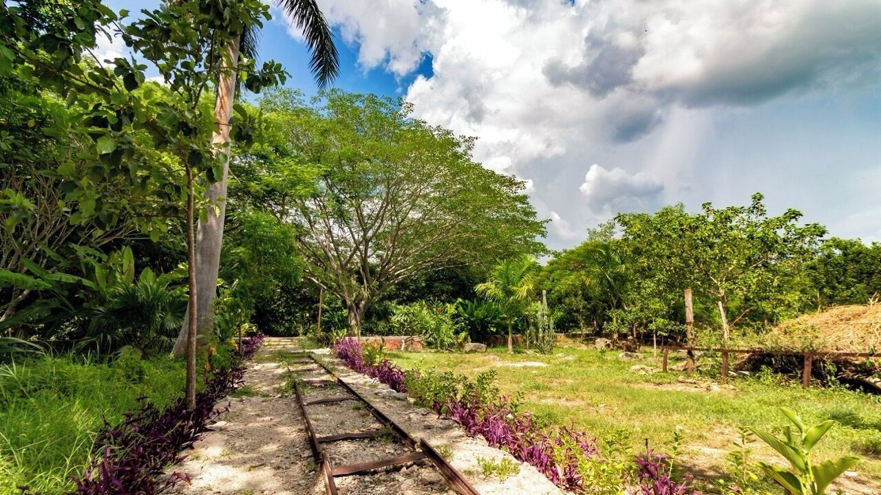 Photo of Outdoor in Tecoh