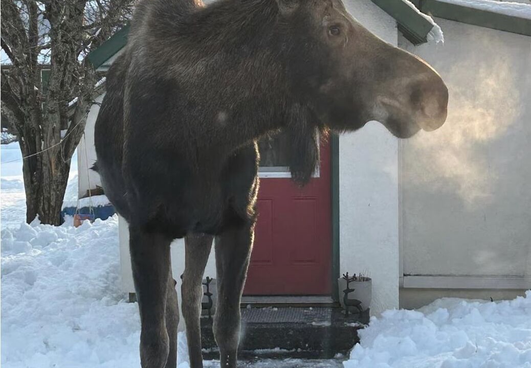 Photo of Others in Seward