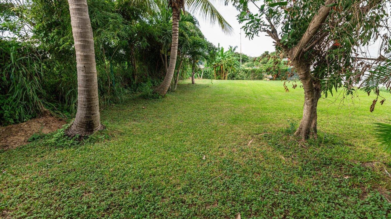 Photo of Outdoor in Bucerias
