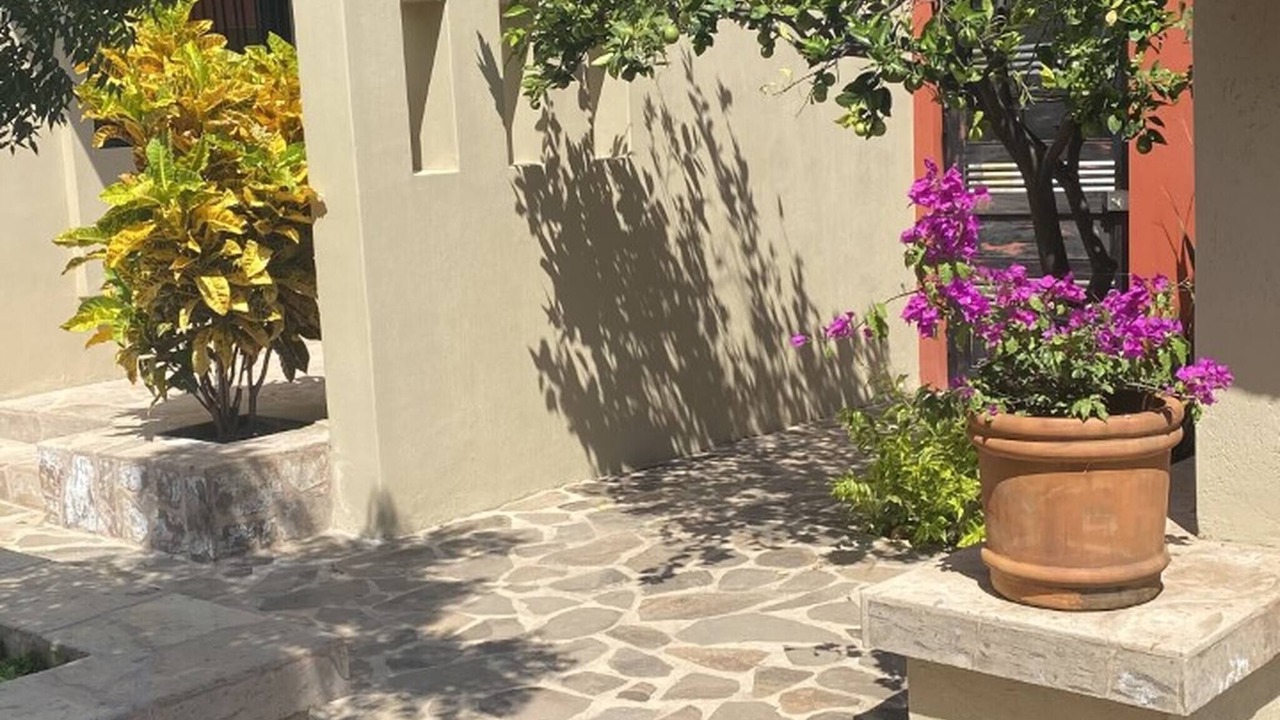 Photo of Outdoor in San Antonio Tlayacapan