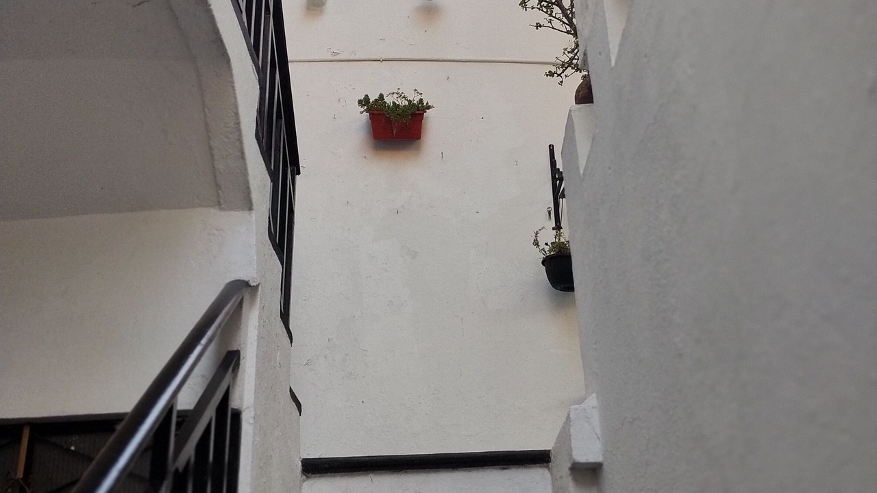 Photo of Outdoor in Atlixco