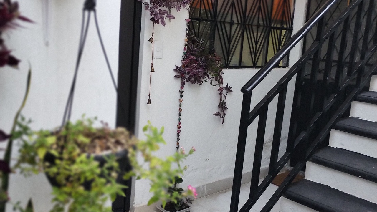 Photo of Outdoor in Atlixco