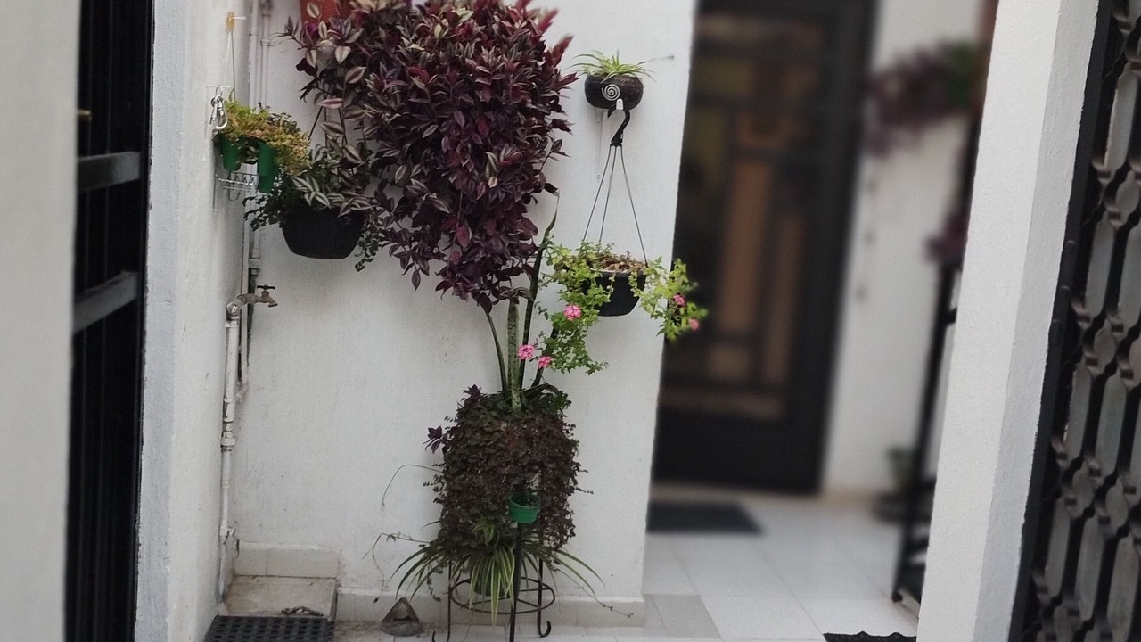 Photo of Outdoor in Atlixco