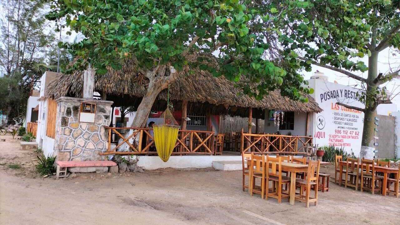 Photo of Outdoor in Rio Lagartos