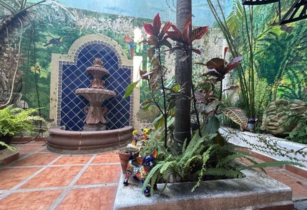Photo of Outdoor in Ajijic