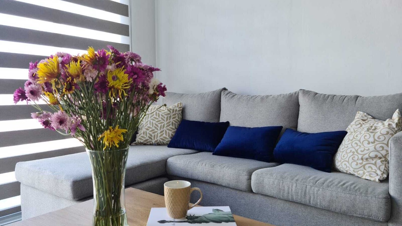 Photo of Livingroom in Reforma