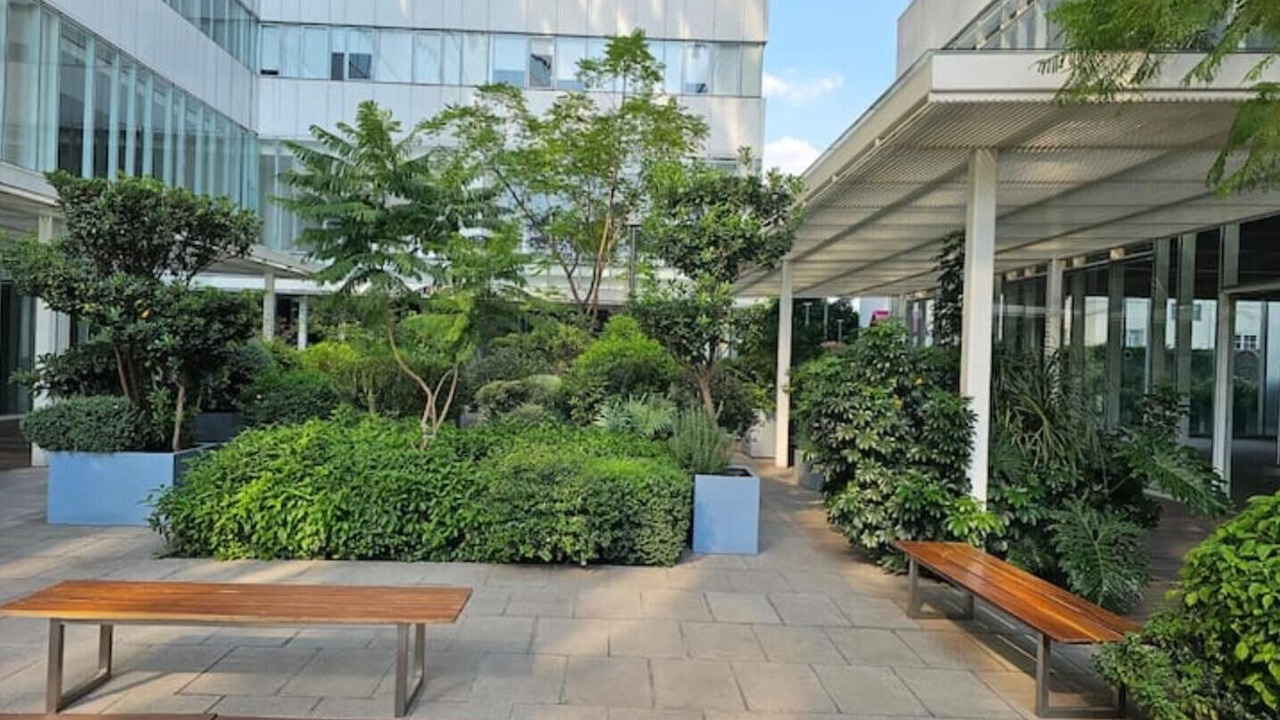 Photo of Patio Balcony in Naucalpan