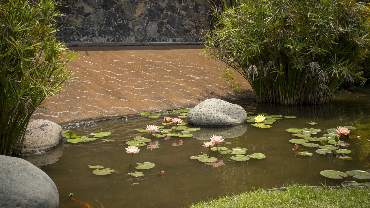 Photo of Outdoor in Valle de Atongo