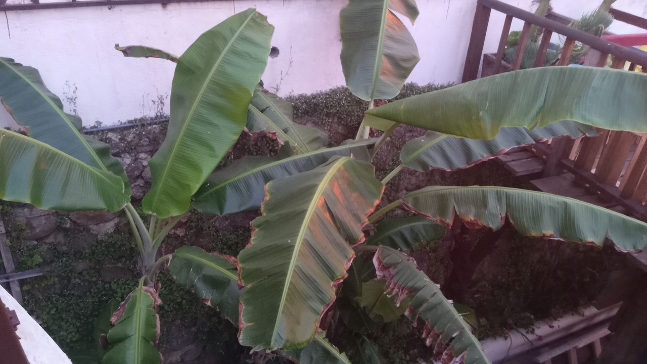 Photo of Outdoor in Primo Tapia