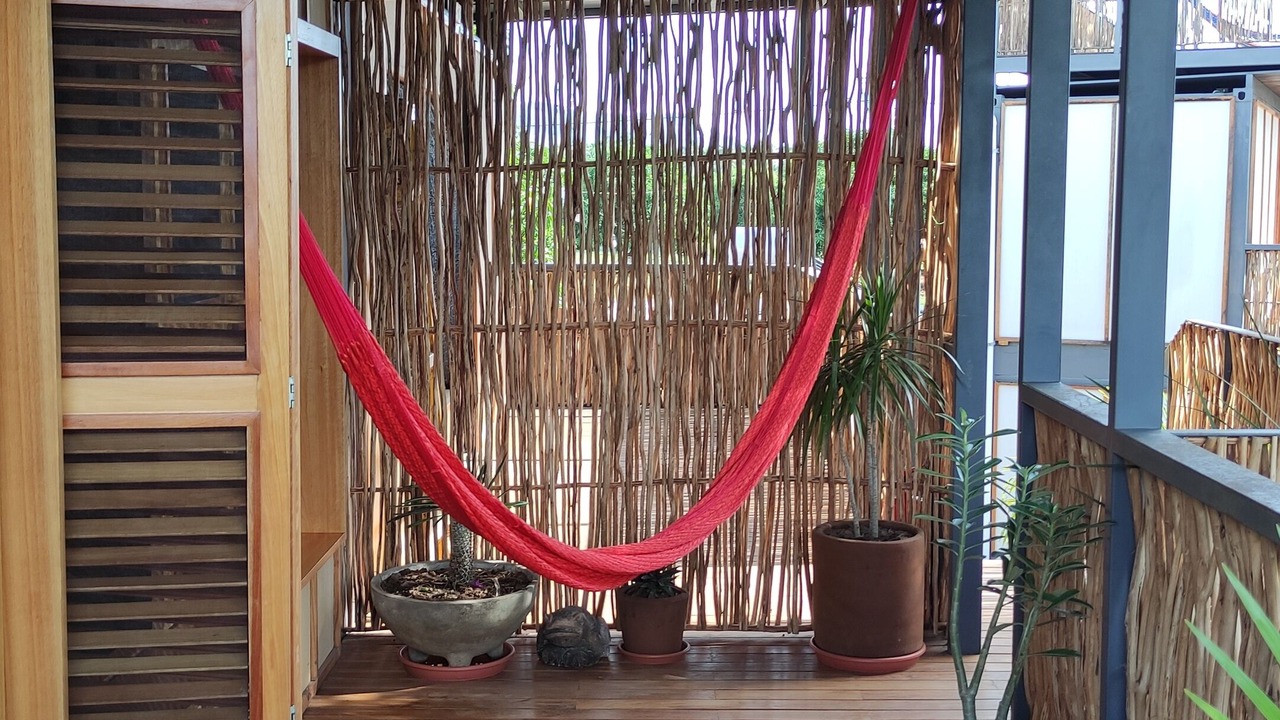Photo of Outdoor in Saladita