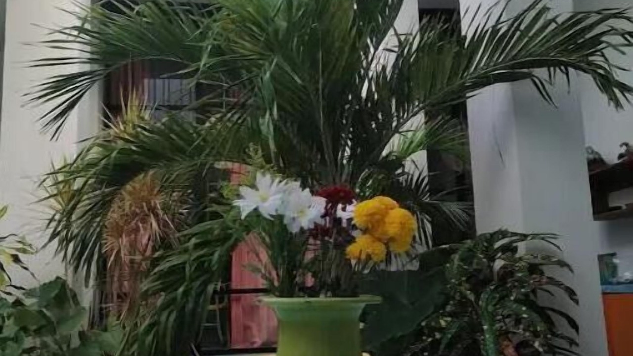 Photo of Outdoor in Zona Paseo Montejo