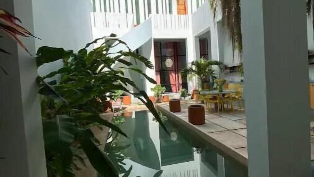 Photo of Outdoor in Zona Paseo Montejo