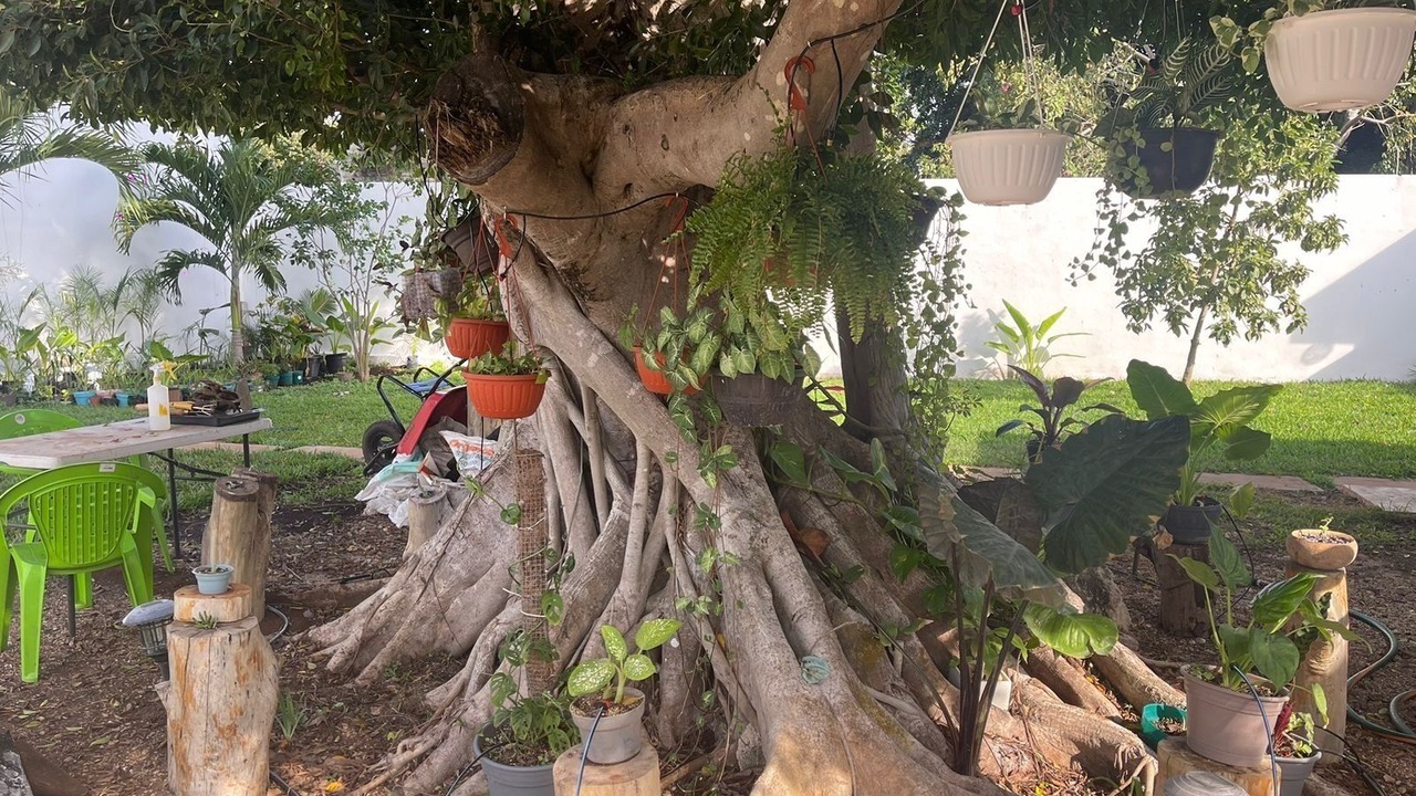Photo of Outdoor in Merida Municipality
