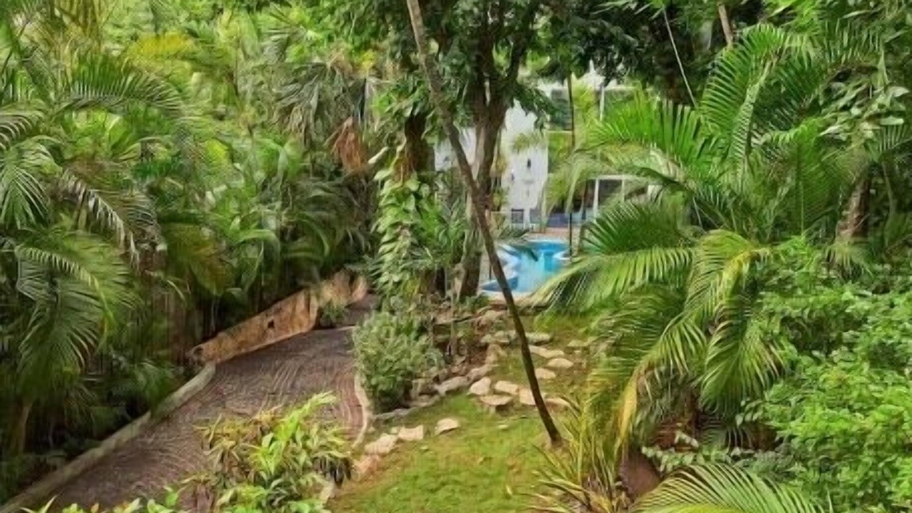 Photo of Outdoor in Puerto Juarez