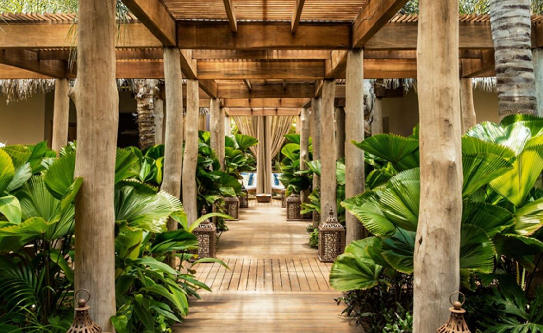 Photo of Outdoor in Mezcales