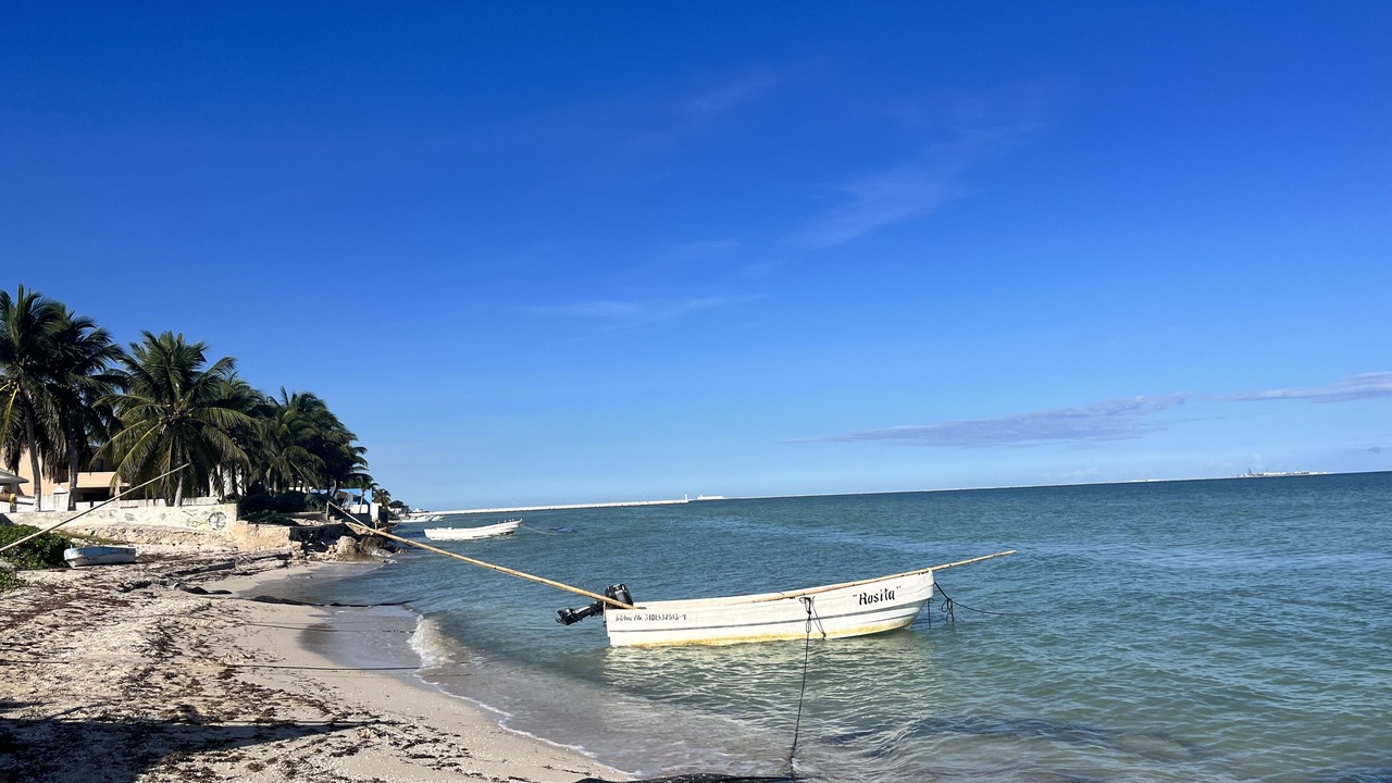 Photo of Others in Chicxulub Puerto