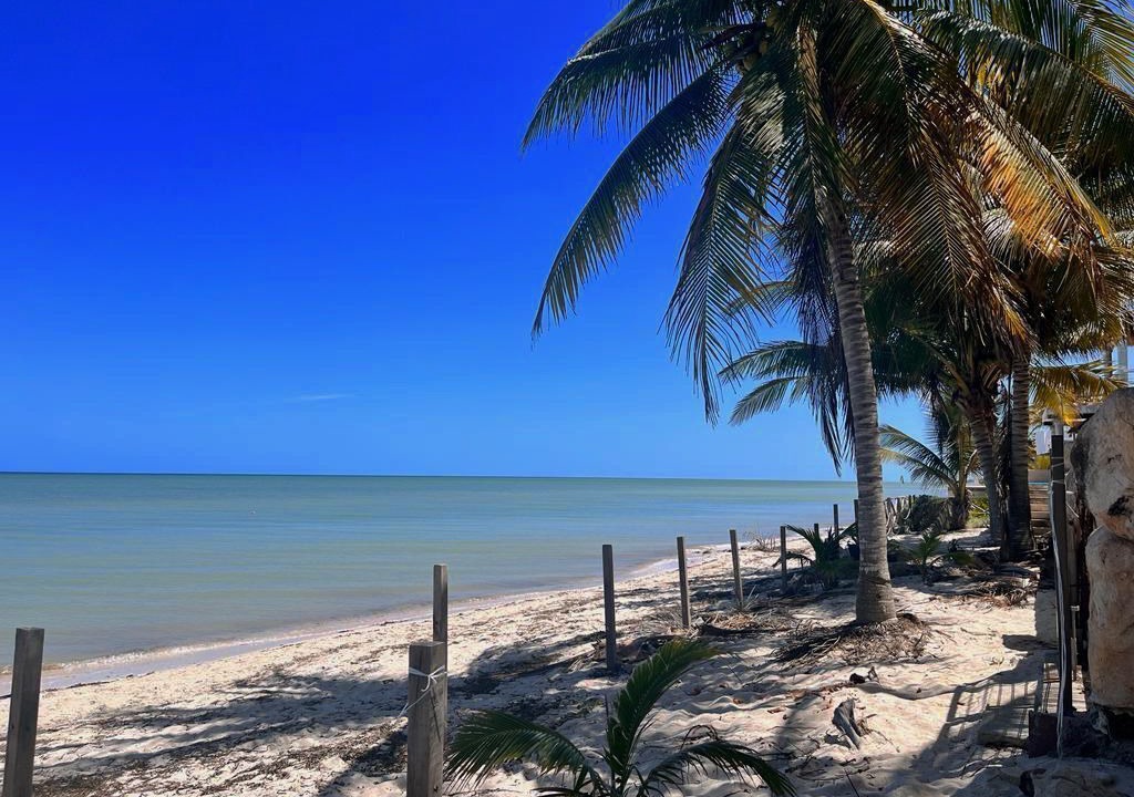 Photo of Others in Chicxulub Puerto