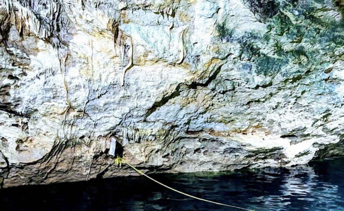 Photo of Others in Chicxulub Puerto