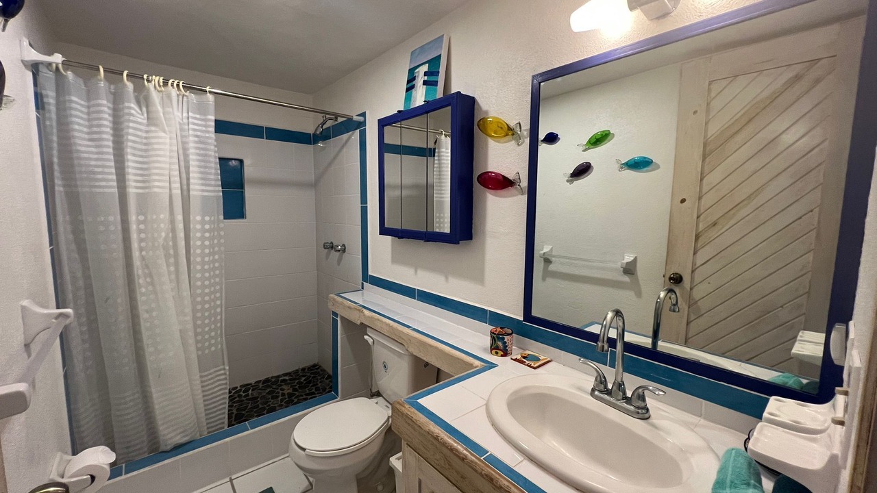 Photo of Bathroom in Los Barriles