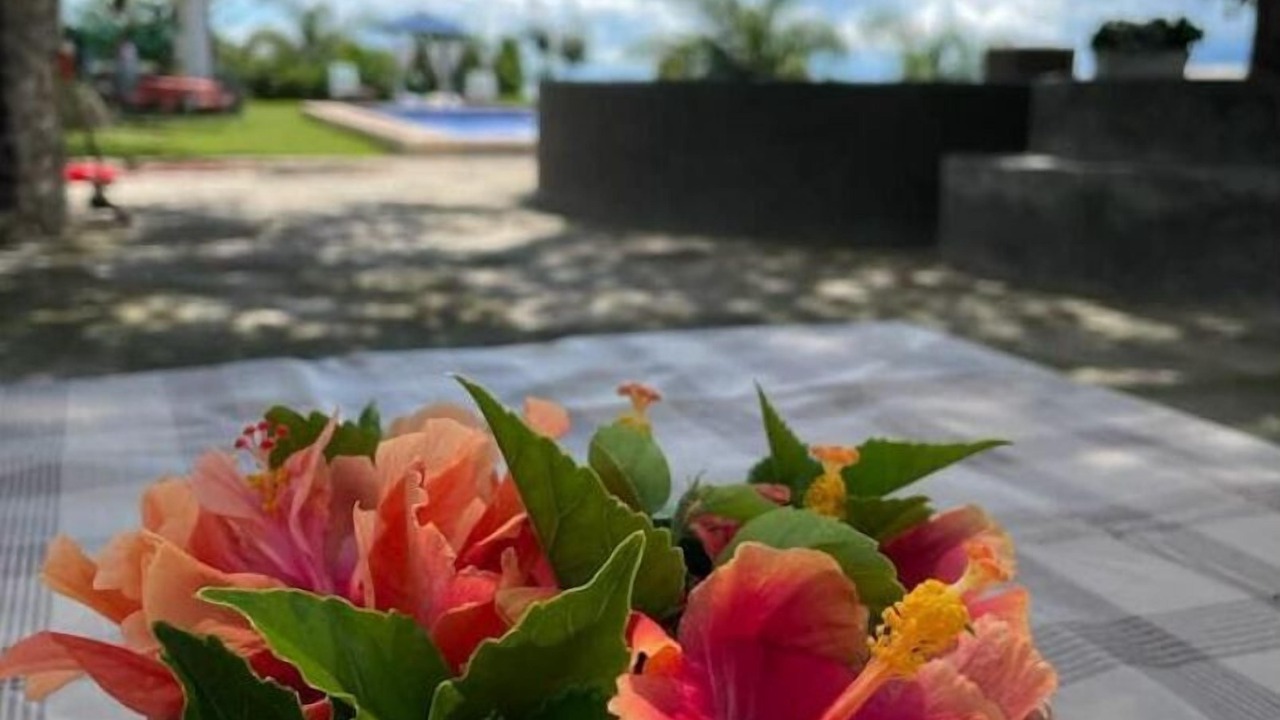 Photo of Outdoor in San Juan Cosala