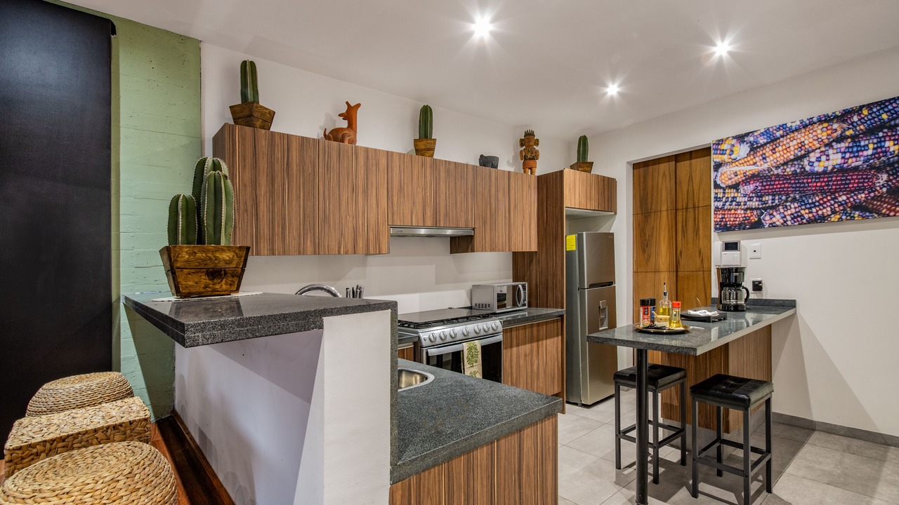 Photo of Kitchen in Roma Norte