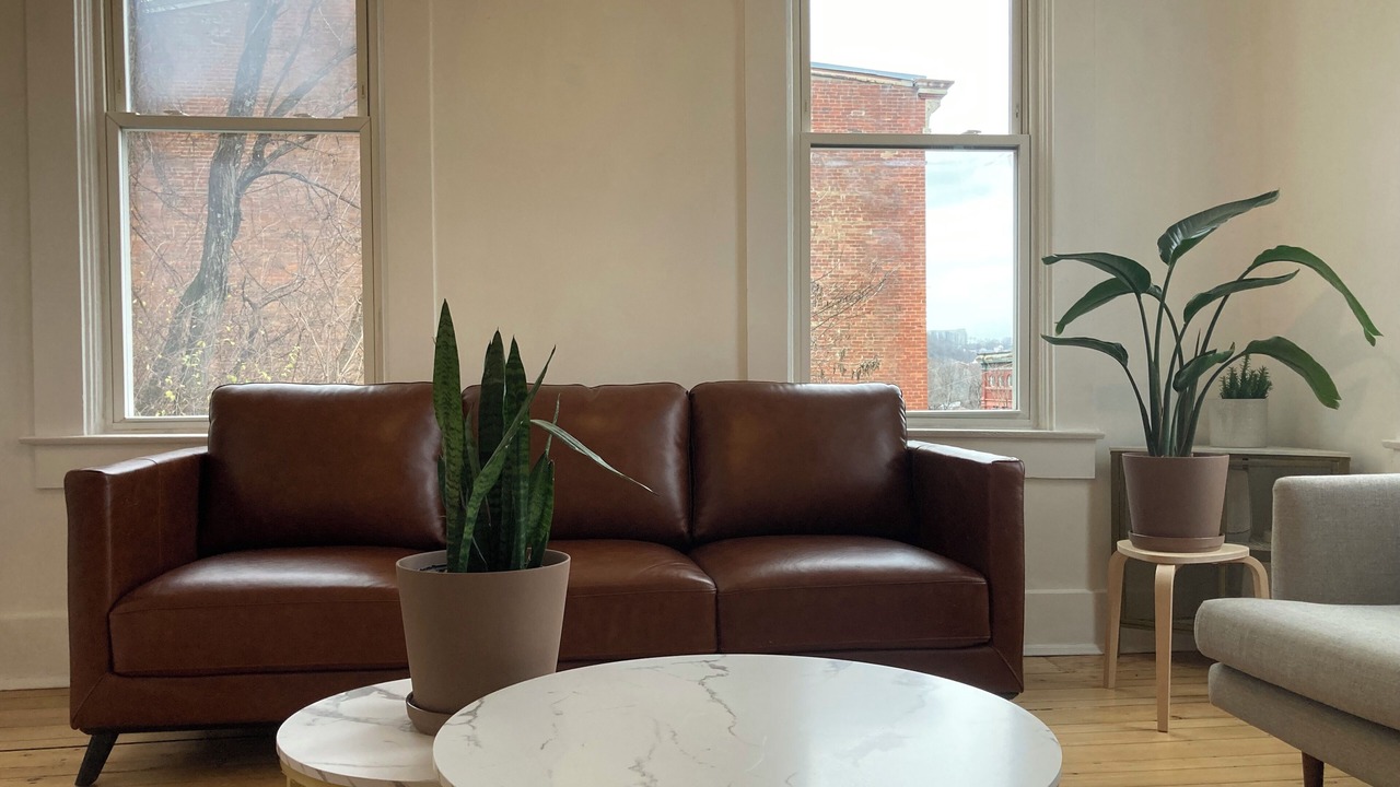 Photo of Livingroom in CUF