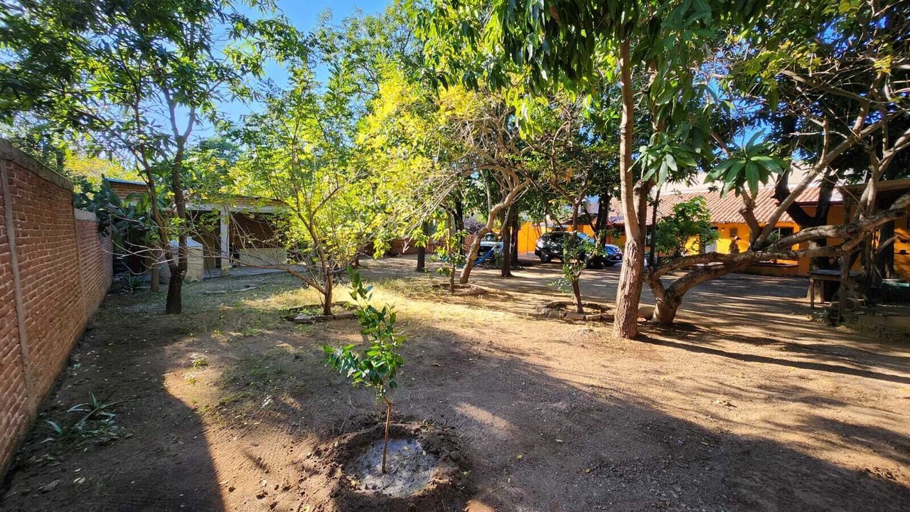 Photo of Outdoor in Cosala