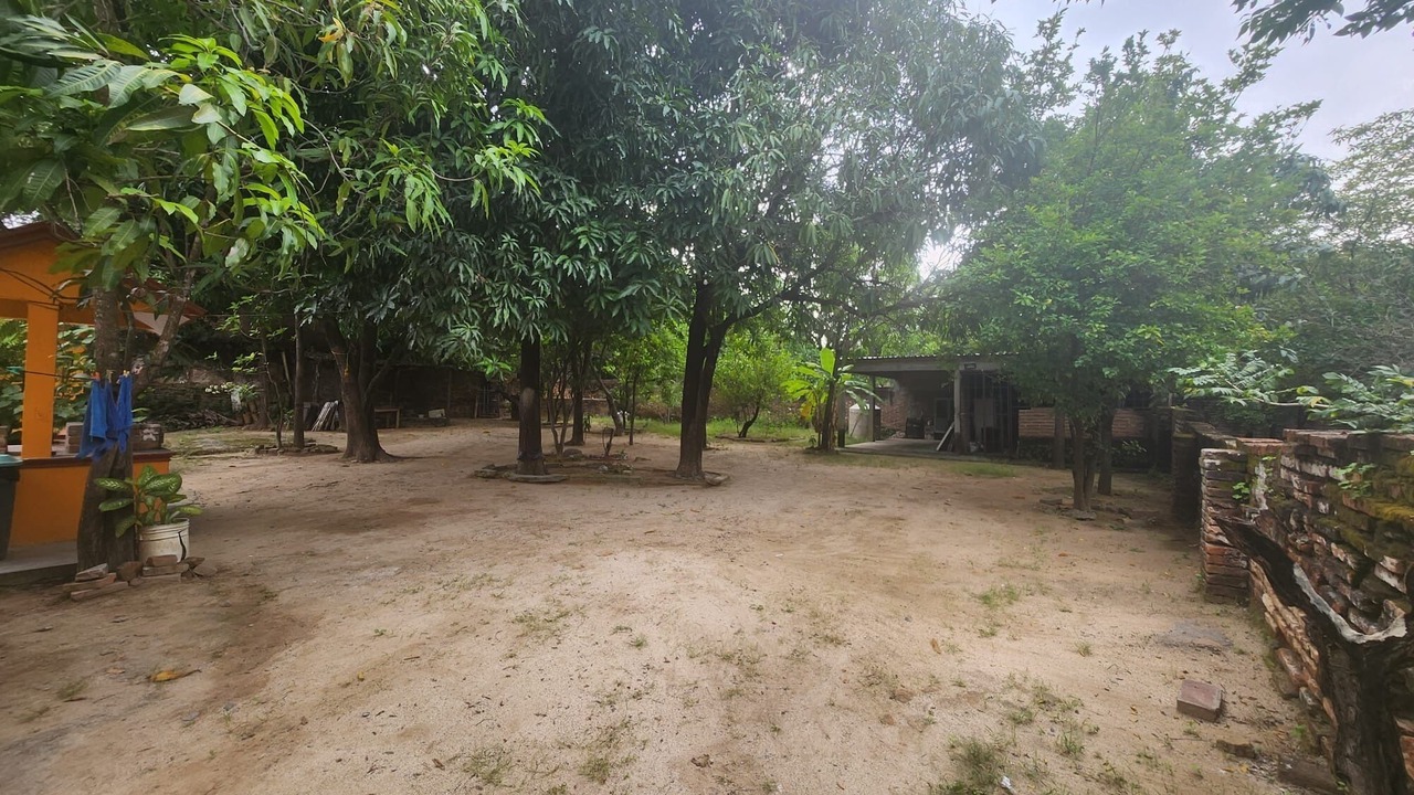 Photo of Outdoor in Cosala