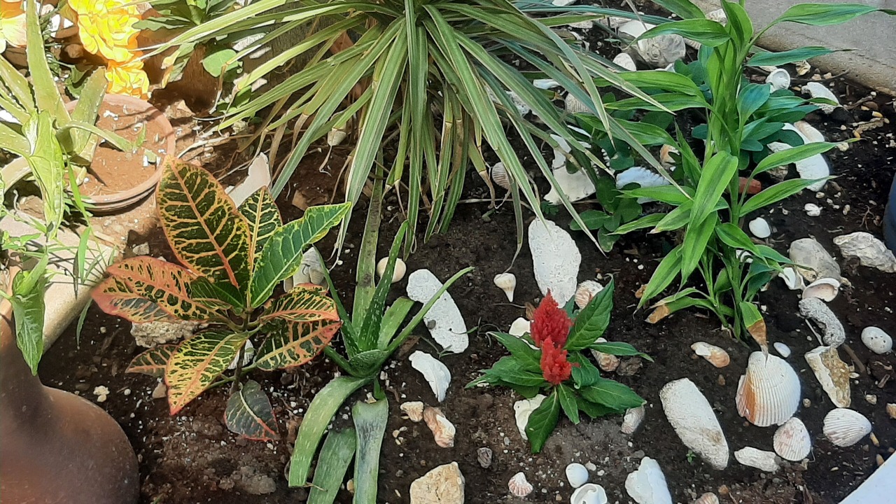 Photo of Outdoor in Yucatan Peninsula