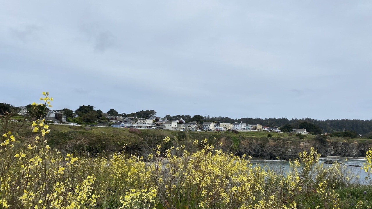 Photo of Others in Mendocino