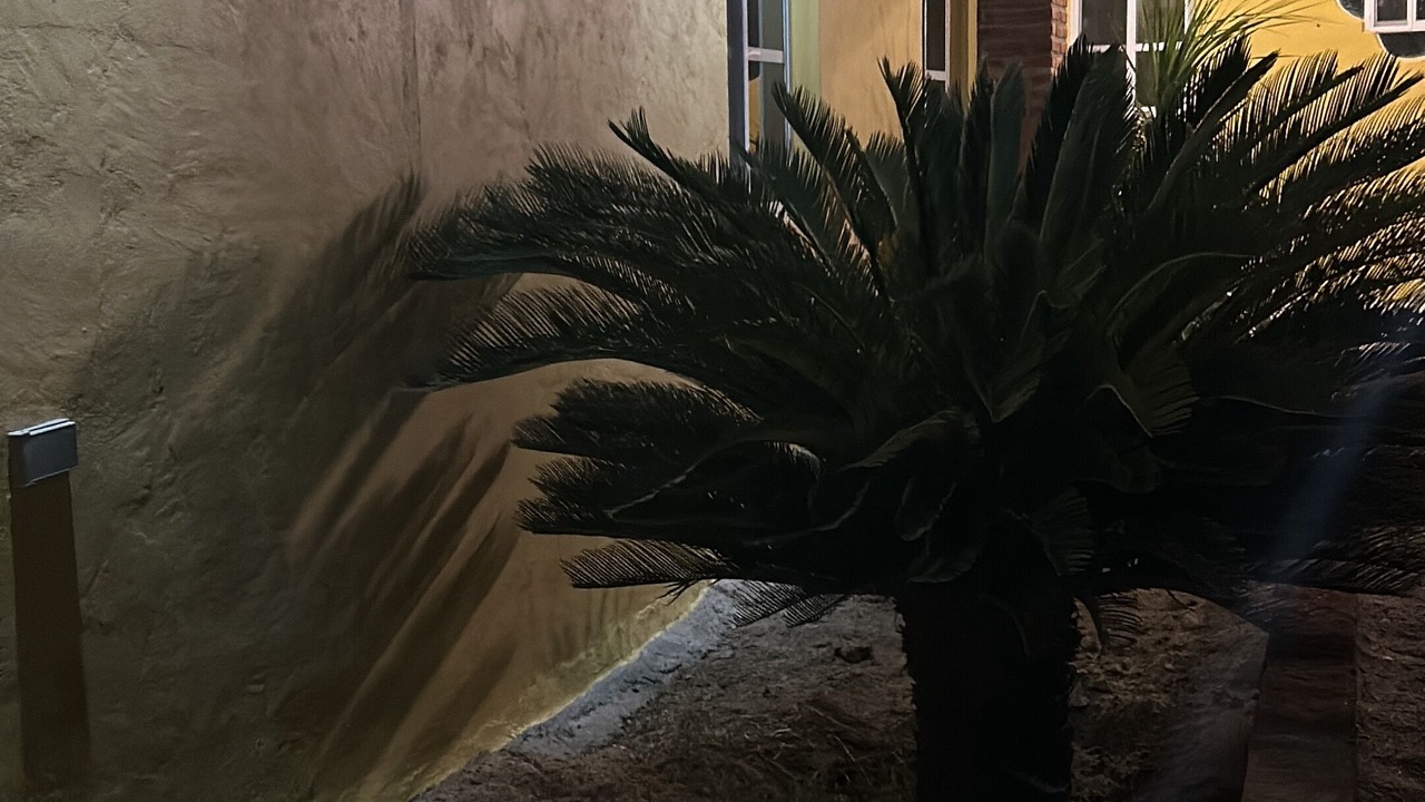 Photo of Outdoor in Alamos